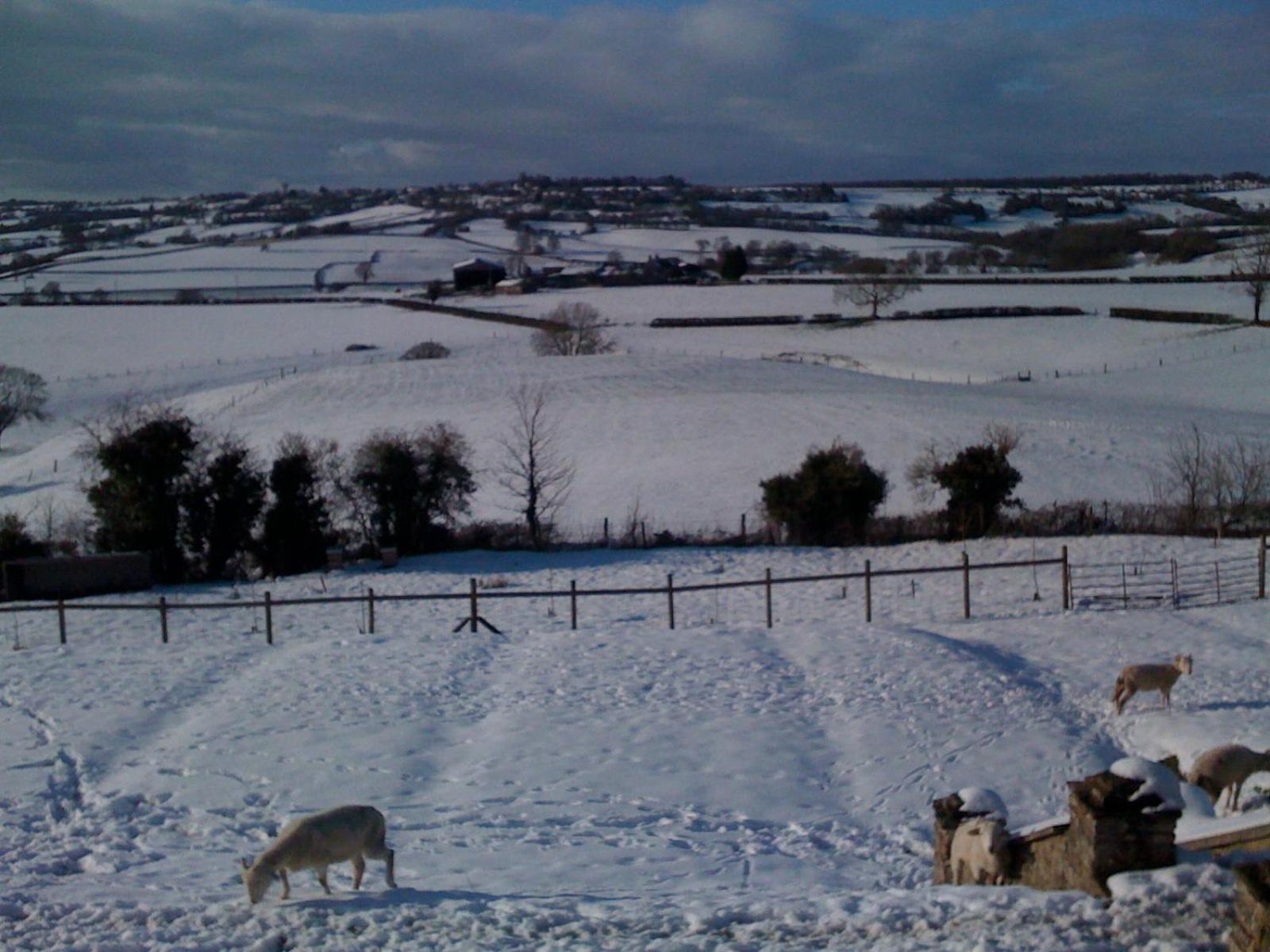 T'S At Lower Rudloe Farm Vendégház Corsham Kültér fotó