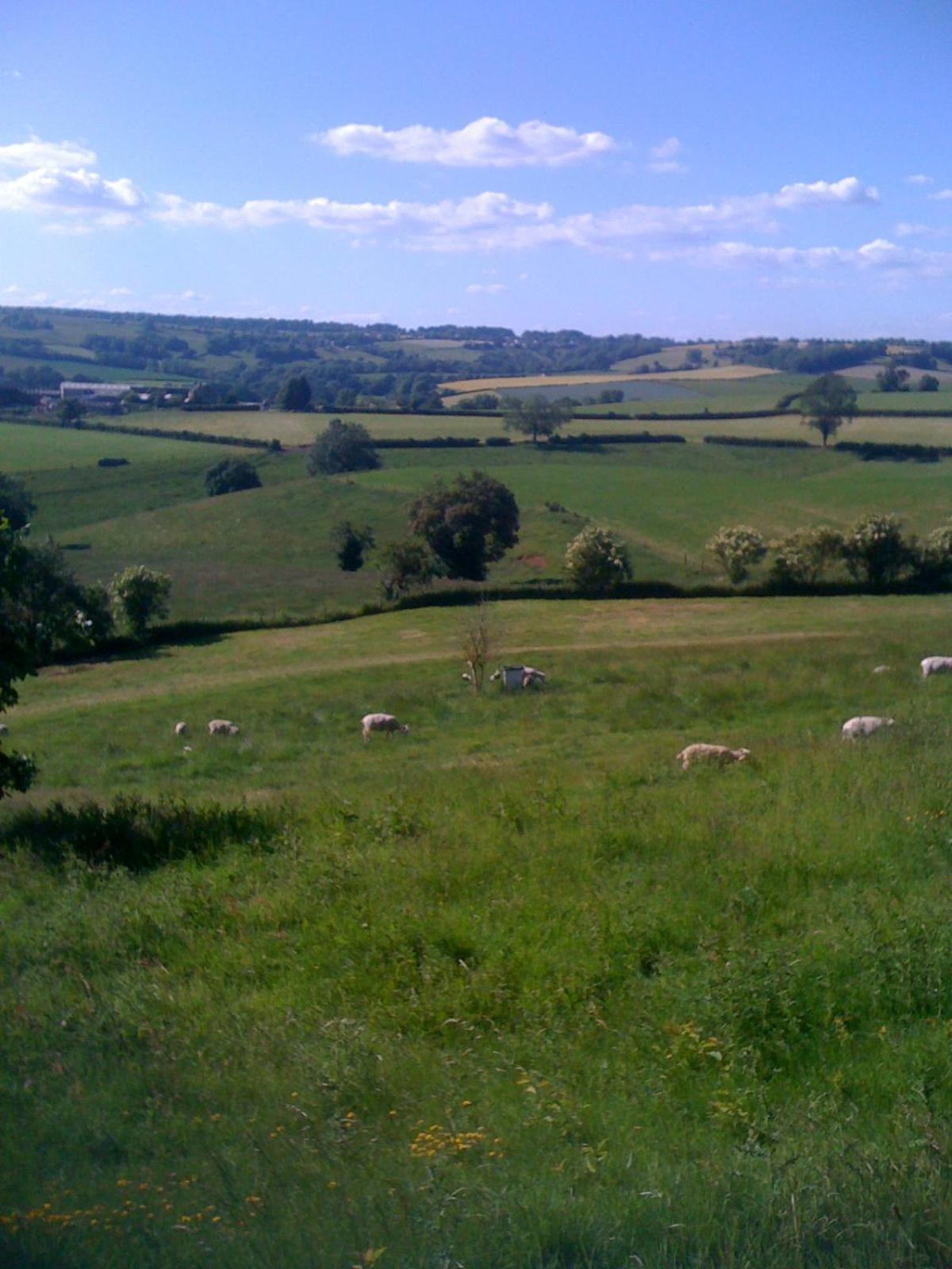 T'S At Lower Rudloe Farm Vendégház Corsham Kültér fotó